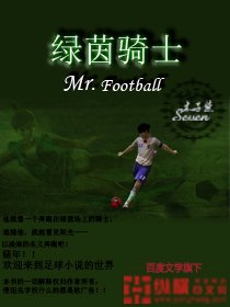 《绿茵骑士》