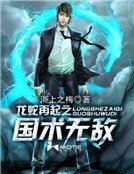 《龙蛇再起之国术无敌》