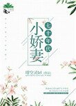 《七十年代小娇妻》