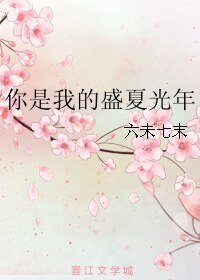 《你是我的盛夏光年》