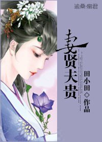 《妻贤夫贵》