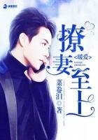 《暖爱之撩妻至上》