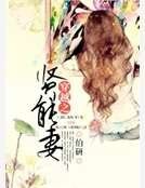 穿越之贤能妻