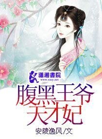 俯黑王爷天才妃