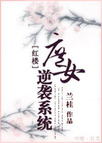 （BG-红楼同人）红楼之庶女逆袭-庶女逆袭系统