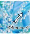 《想要拥抱的你》
