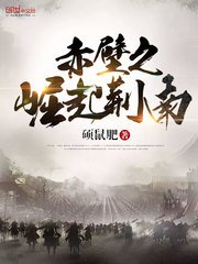 《赤壁之崛起荆南》