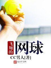 《飞翔的网球》