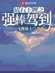 《木叶之隐形刺客》
