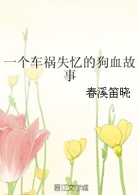 《一个车祸失忆的狗血故事》