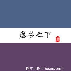 《盛名之下》