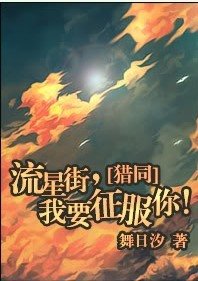 （猎人同人）流星街，我要征服你！