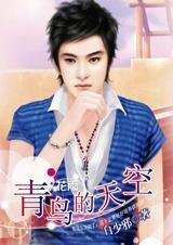 《英雄痞女救美男:青鸟的天空》