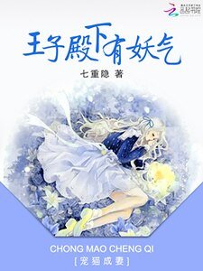 《宠猫成妻:王子殿下有妖气》