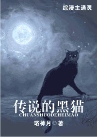 《(综漫同人)传说的黑猫》