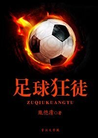 《(足坛同人)足球狂徒》