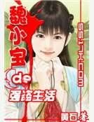 《魏小宝的强盗生活》