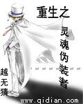 《重生之灵魂伪装者》