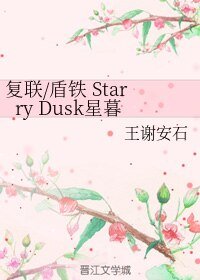 《(BL/复联同人)复联/盾铁 Starry Dusk星暮》
