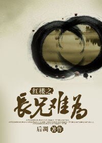 《(BL/红楼同人)红楼之长兄难为》