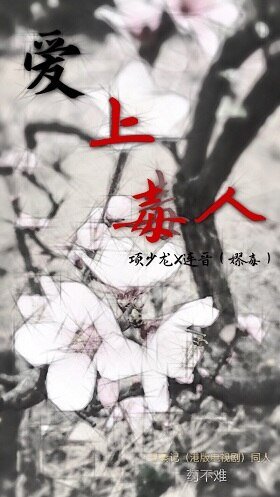 《(BL/寻秦记同人)爱上毒人》