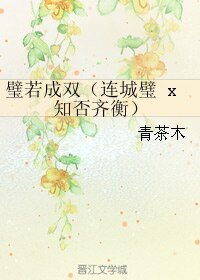 《(BL/综同人)璧若成双(连城璧 x 知否齐衡)》