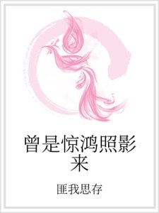 曾是惊鸿照影来
