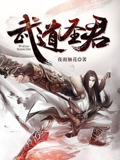 《武道圣君》