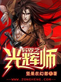 《异界之光辉师》