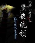 （宠物小精灵同人）黑夜统领