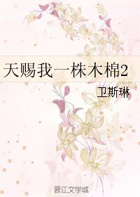 《天赐我一株木棉2》