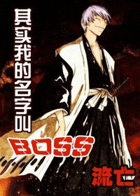 《(综漫)其实我的名字叫BOSS》