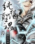 《纯阳圣魂》