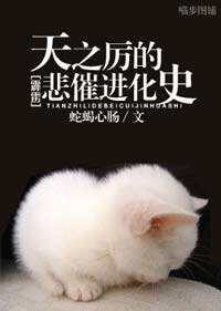 《(霹雳同人)天之厉的悲催进化史》