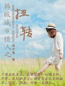 （韩剧同人）韩版城市猎人之扭转