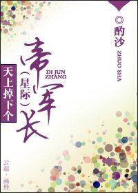 《天上掉下个帝军长》