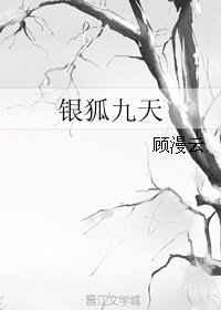 《银狐九天》