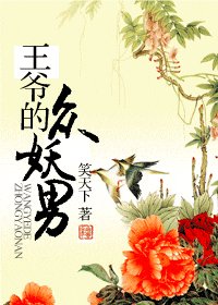 《王爷的众妖男》