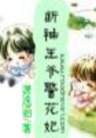 《王爷的警花妃》