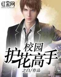 《校园护花高手》