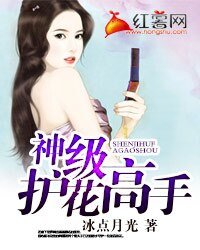《神级护花高手》
