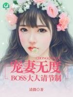 《宠妻无度:BOSS大人请节制》