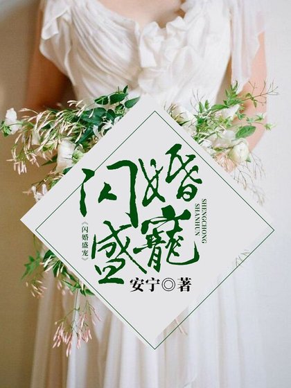 《闪婚盛宠》