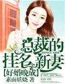 《好婚晚成:总裁的挂名新妻》