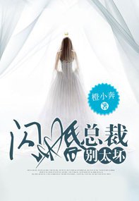 《闪婚总裁别太坏》