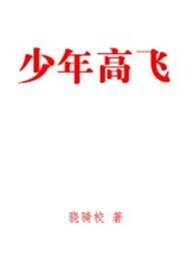 《少年高飞》