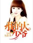 《我的大少爷》