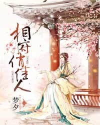 《相府俏佳人》