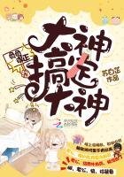 《负负得正:大神搞定大神》