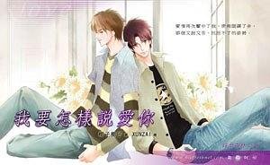 《我要怎样说爱你(出书版)》